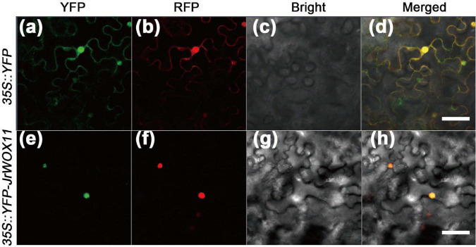 FIGURE 3