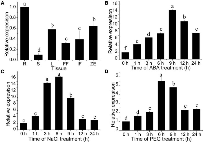 FIGURE 4