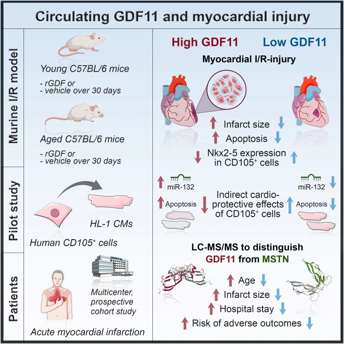 Graphical Abstract