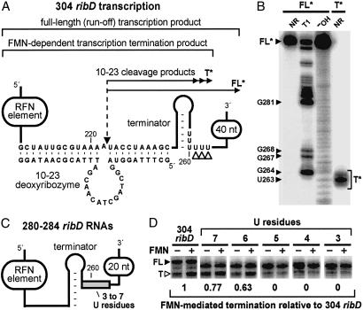 Fig 4.