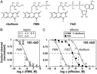 Fig 2.