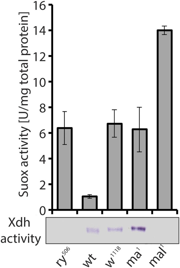 Figure 7