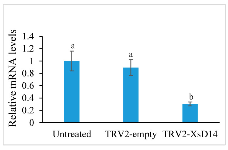 Figure 14