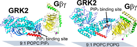 graphic file with name nihms788798f5.jpg