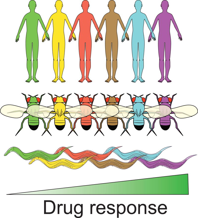 Summary Figure