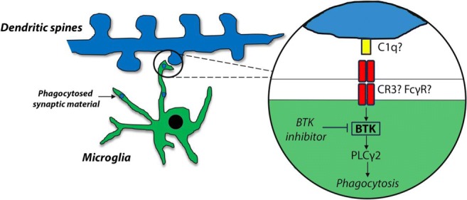 Graphical Abstract