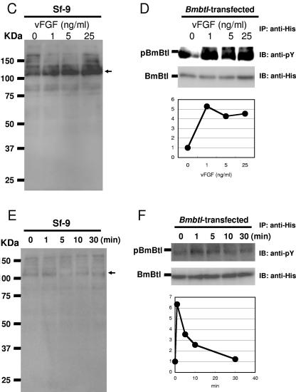 FIG.4.