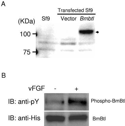 FIG.4.