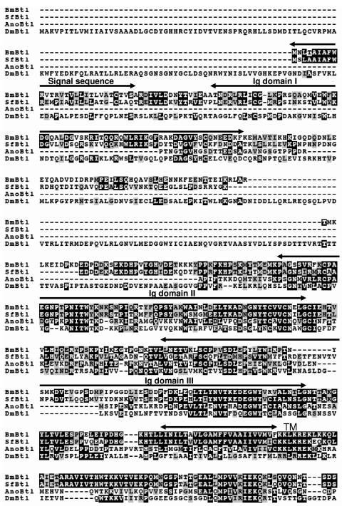 FIG.2.