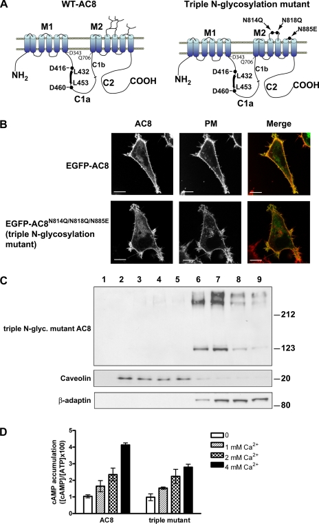 Fig. 4.