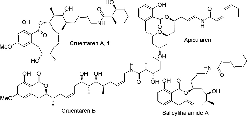 Synthesis Of Cruentaren A PMC synthesis-of-cruentaren-a-pmc