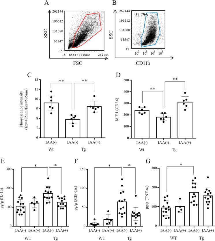 FIGURE 5.