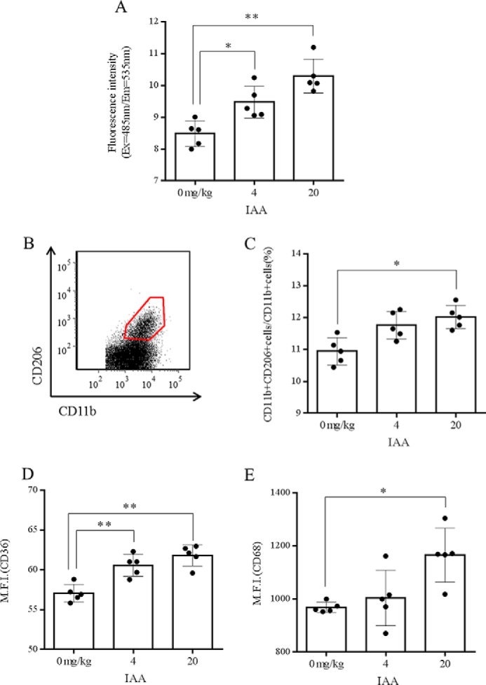 FIGURE 2.