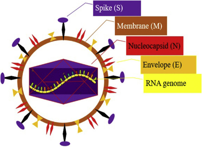 Figure 1