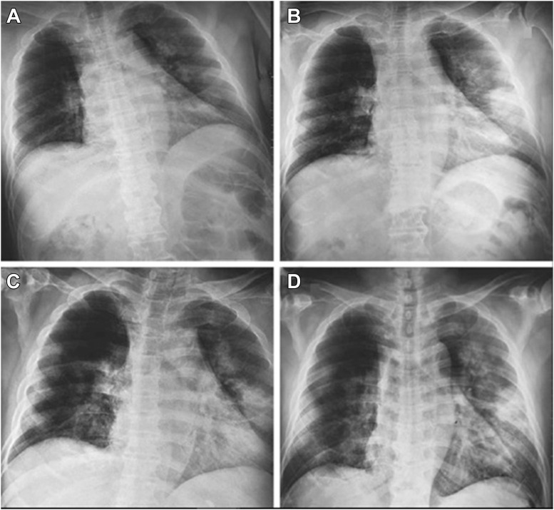 Figure 3