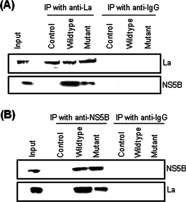 Fig 5