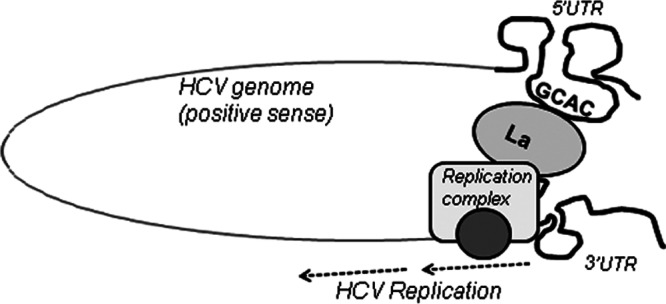 Fig 11