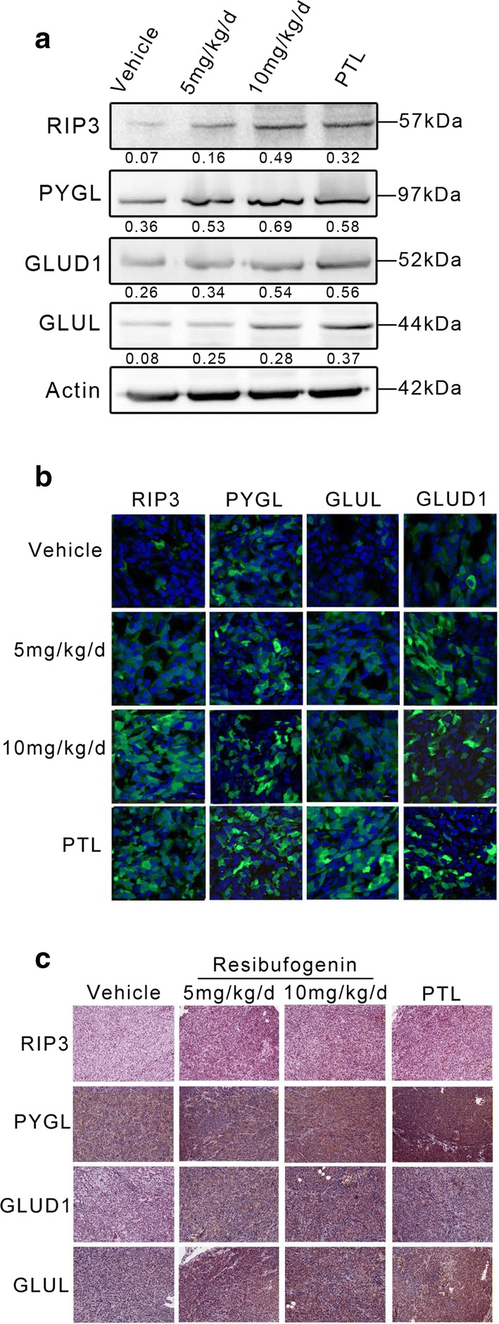 Fig. 4