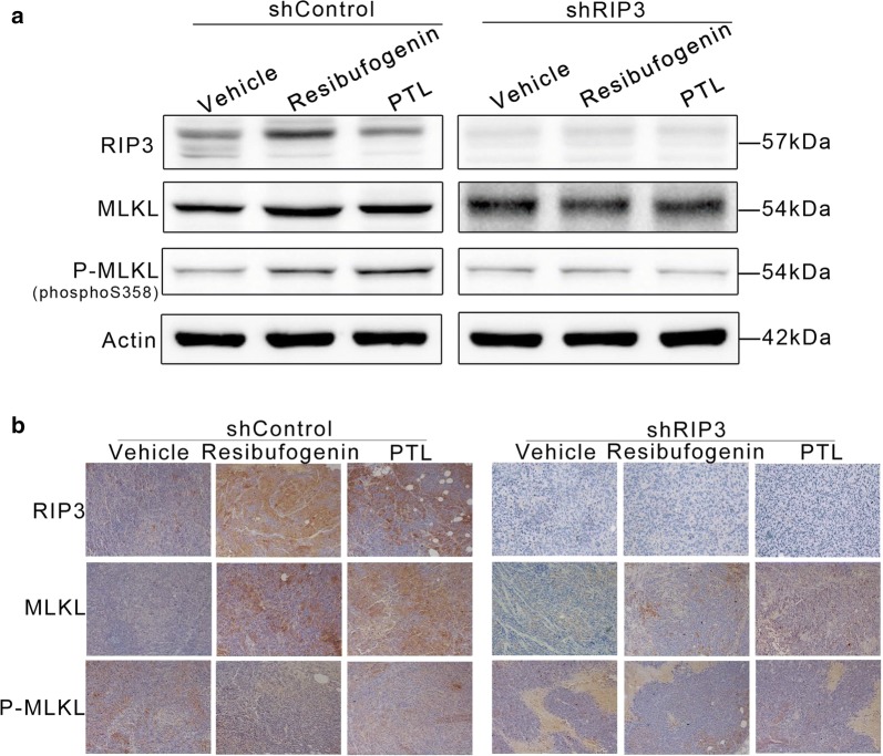 Fig. 7