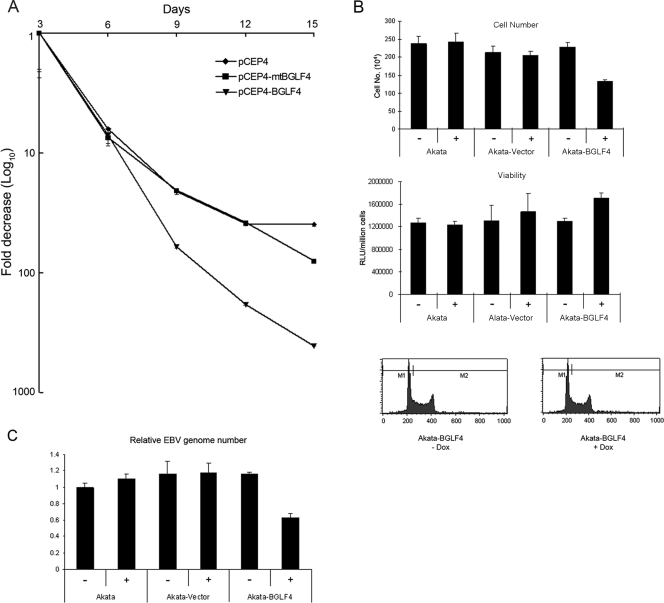 FIG. 6.