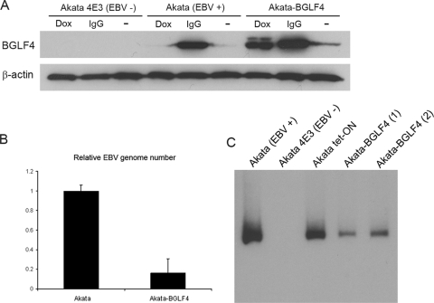 FIG. 7.