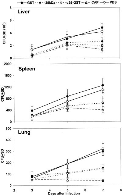 FIG. 9.