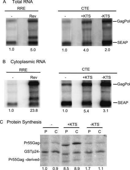 Figure 4.