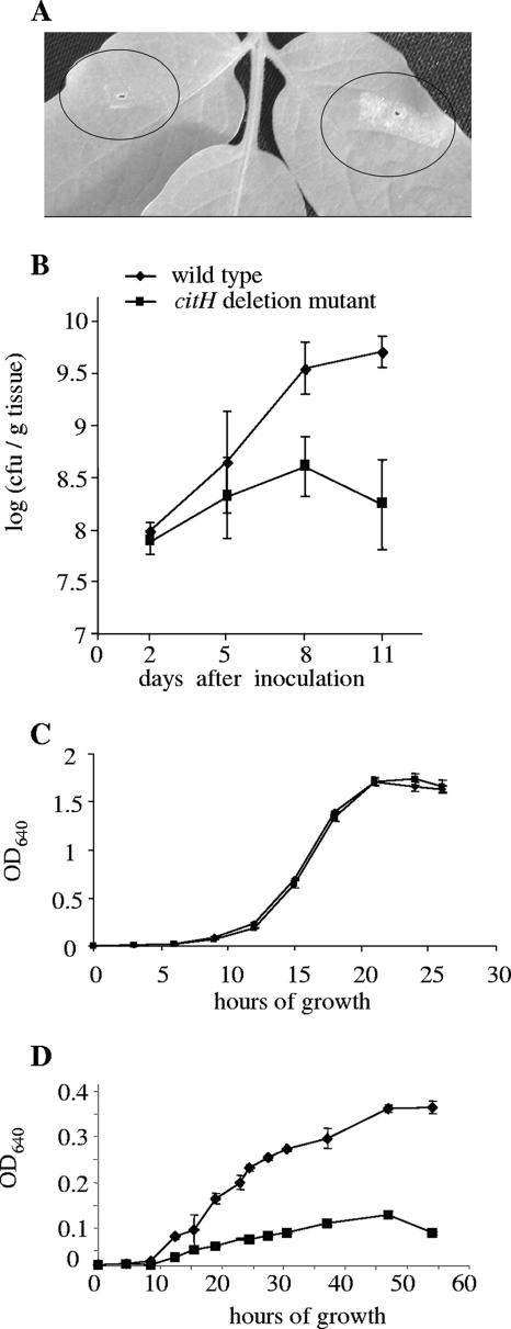 FIG. 6.