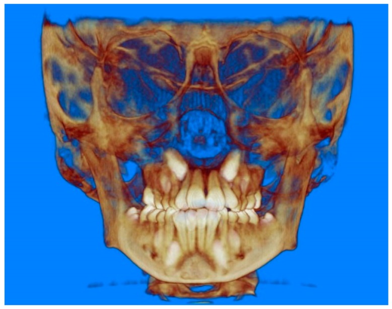 Figure 10