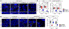 Fig. 2 /