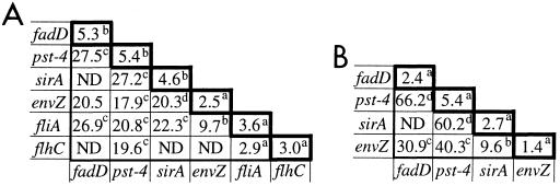 FIG. 5