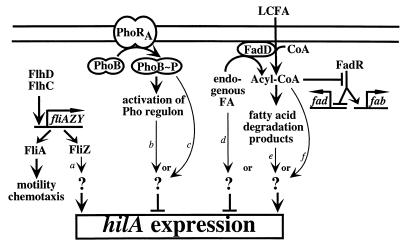 FIG. 6