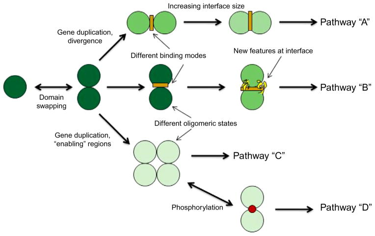 Figure 1.1