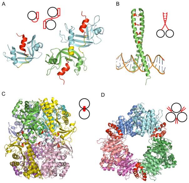 Figure 1.3