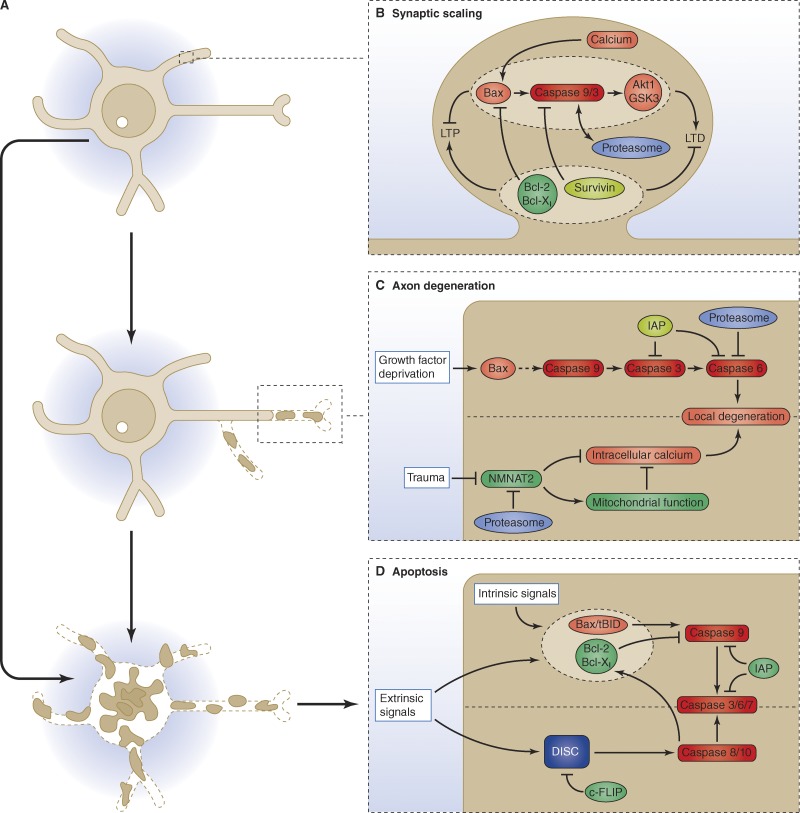 Figure 3.