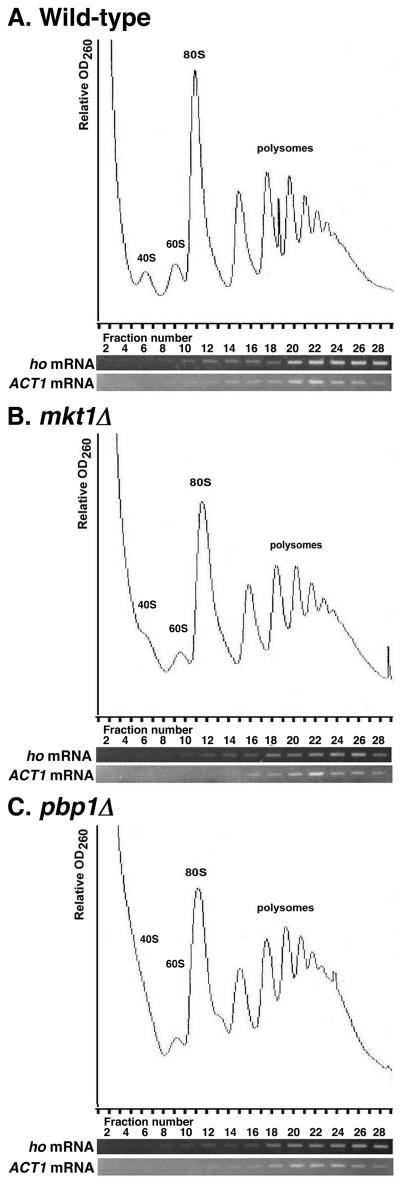 FIG.8.