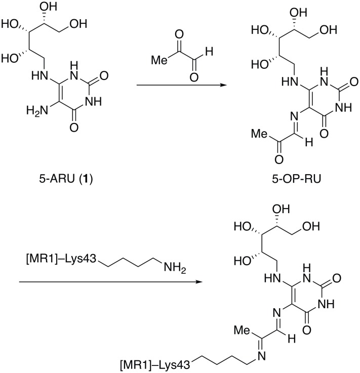 Fig 1