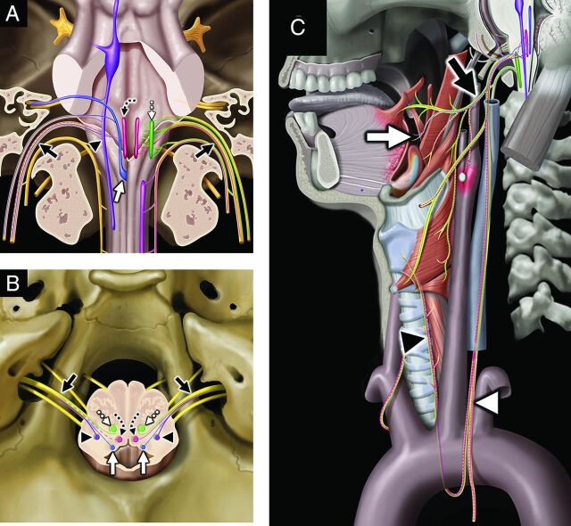 FIG 4.