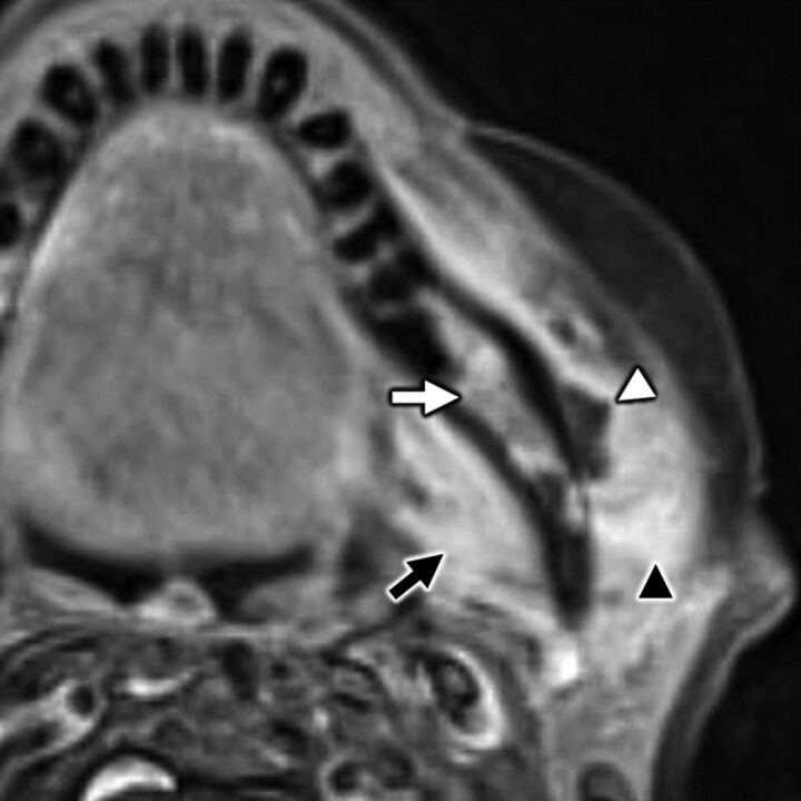 FIG 10.