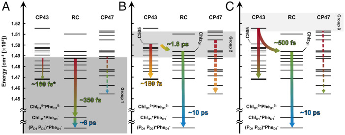 Fig. 6.