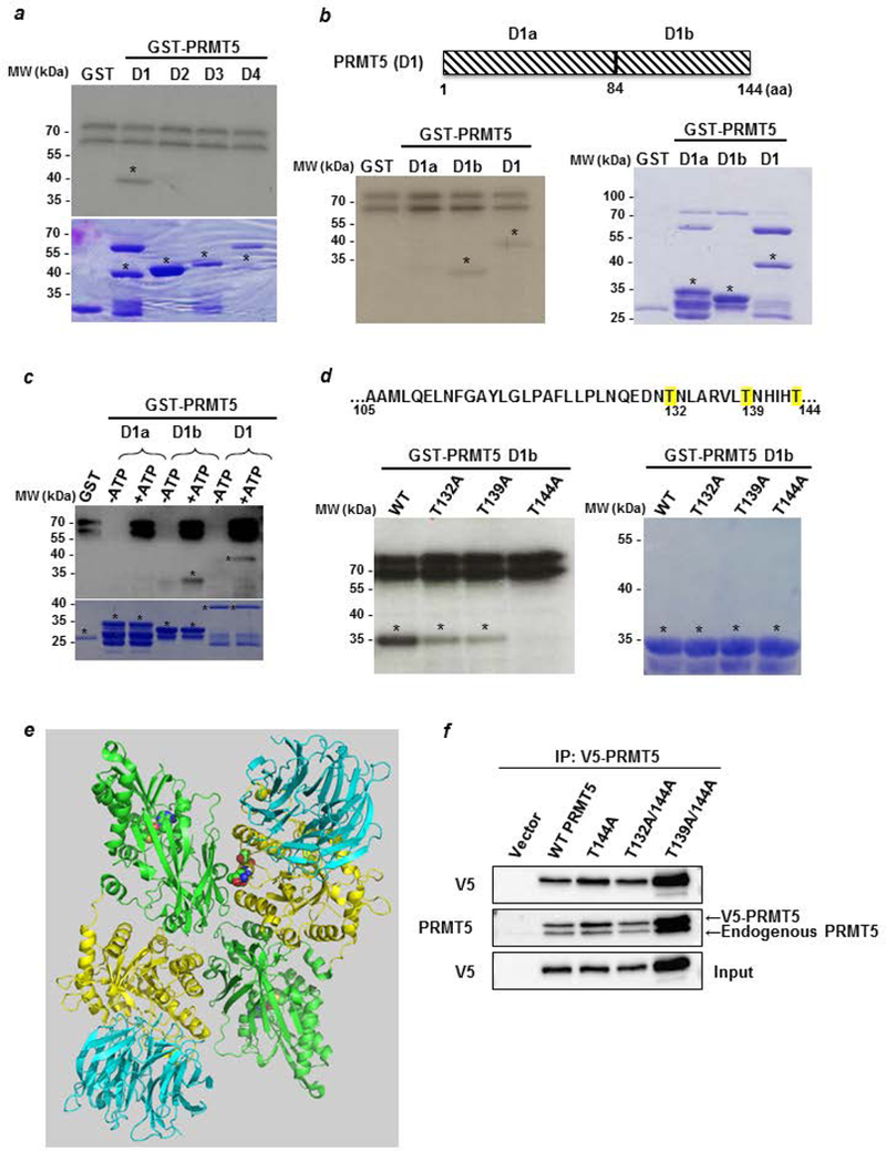 Figure 4: