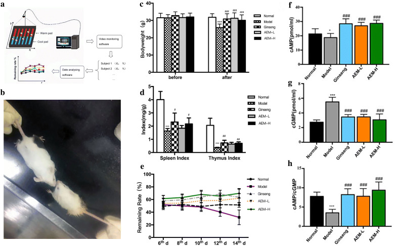 Fig. 1