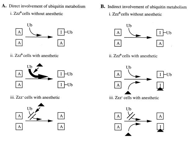 FIG. 10