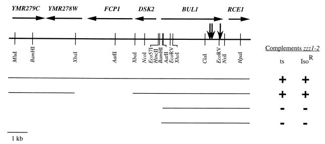 FIG. 1