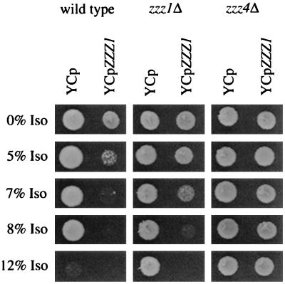 FIG. 4