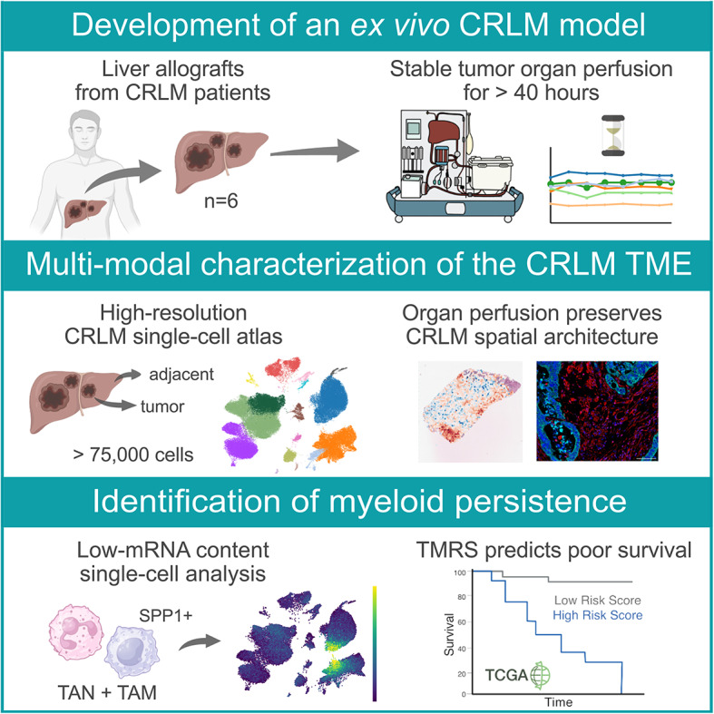 graphic file with name 12943_2025_2430_Figa_HTML.jpg