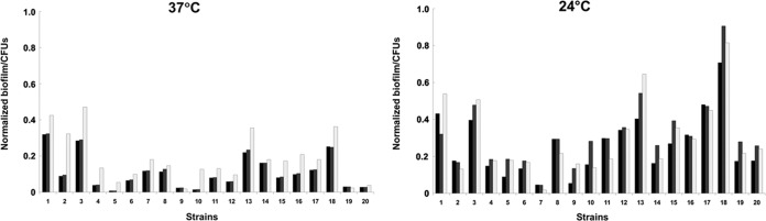 FIG 2