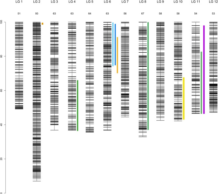 Figure 4.