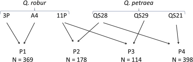 Figure 1.