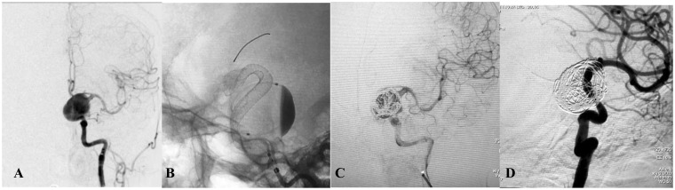 Figure 3.